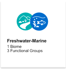 Freshwater-Marine