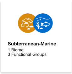 Subterranean-Marine