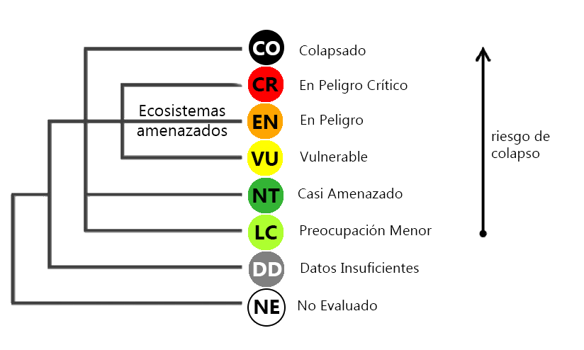 Structure of the IUCN Red List of Ecosystems categories