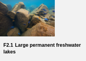 Large Permanent Freshwater