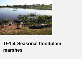 Seasonal Floodplan
