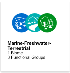 Marine-Freshwater-Terrestrial