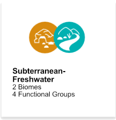 Subterranean-Freshwater